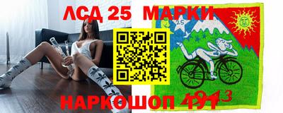 сатива Кинель