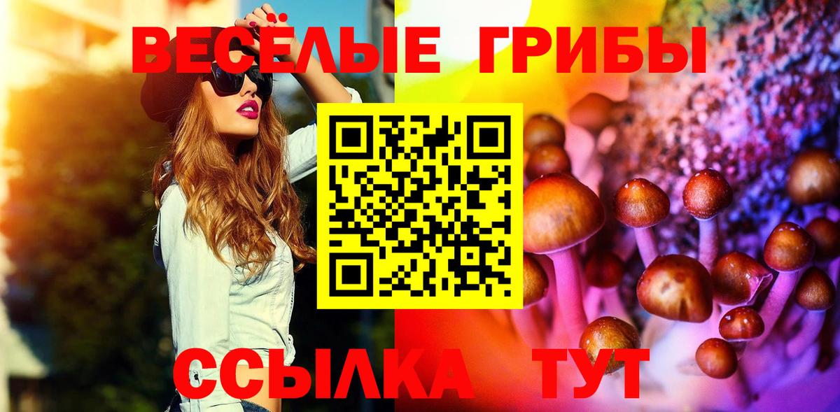 Галлюциногенные грибы Psilocybine cubensis Александров