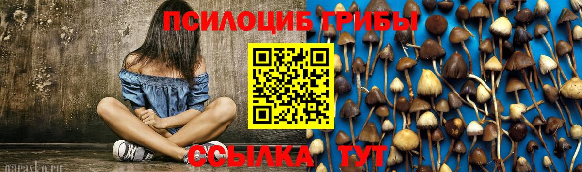 Галлюциногенные грибы Psilocybine cubensis  Вход с VPN  Псилоцибиновые грибы GOLDEN TEACHER  Александров 